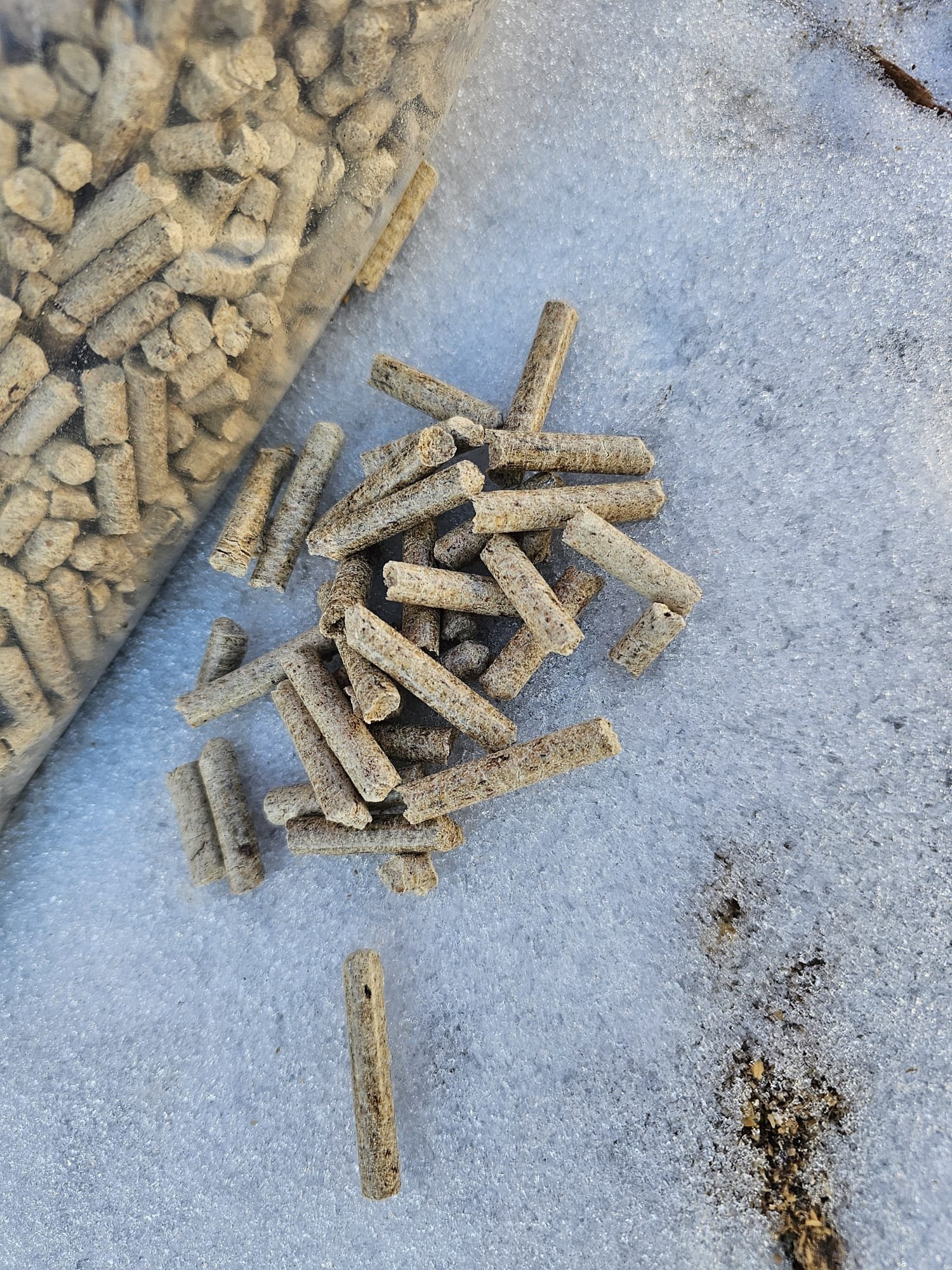 Peleti rasinoase - imagine 3